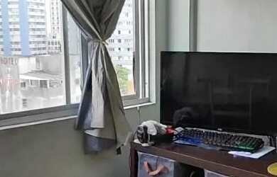 Imagem: Apartamento de 2 quartos à venda no Centro de Florianópolis