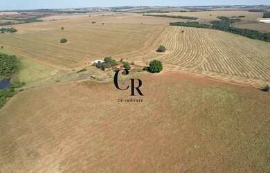 Imagem 7: Fazenda em Piracanjuba - GO