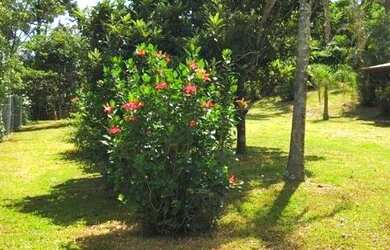 Imagem 3: CASA RESIDENCIAL em IMBITUBA - SC, PRAIA DO ROSA