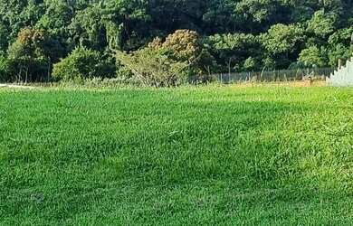 Imagem 4: Terreno 691m2 na melhor localização do Burle Marx