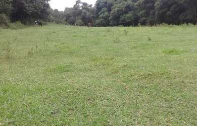 Imagem: O terreno possui 193.600m² de Área e está localizado em