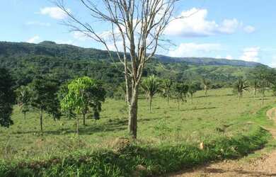Imagem 15: Fazenda Rica em agua 80 Mil por Alqueire 241