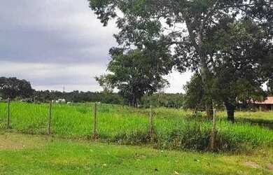 Imagem 8: Fazenda 38 Alqueires Vale do Araguaia
