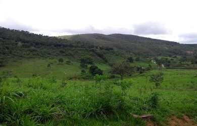 Imagem 11: Vendo Fazenda 53 Alqueires / 253 hectares