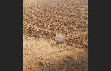 Imagem 4: Fazenda com 2 dormitórios à venda, 1161600 m² por R$ 8.000.000,00 -...