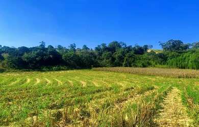 Imagem 9: Lote/Terreno para venda com 500 metros quadrados em Usina - Atibaia -...