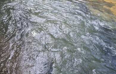 Imagem 3: Sitio 22 hectares valor 195.000