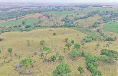 Imagem 2: Fazenda São Bento Bela Vista Goiás 32 Alqueires ou 68.5 alqueires ambos...