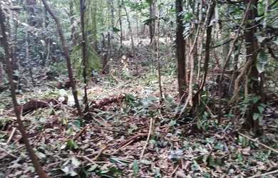 Imagem: O terreno possui 22.500m² de Área e está localizado em Tarumã