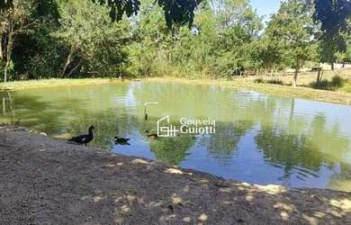 Imagem 13: Chácara à venda em Abadiânia - GO Riquíssima em água