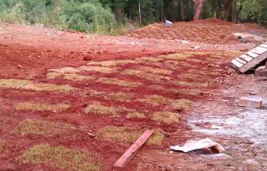 Imagem 2: Vendo lote no alagado em Três Barras do Paraná