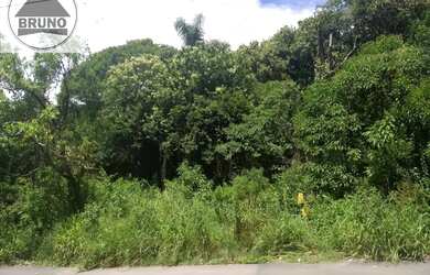 Imagem: EXCELENTE ÁREA NO PILARZINHO PROX A RUA NILO PEÇANHA