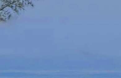 Imagem: A casa possui 2 Dormitórios e 2 Banheiros e está localizado