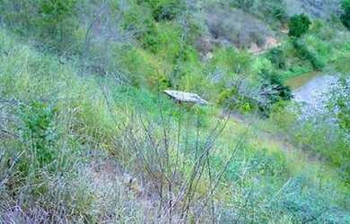 Imagem 2: Fazendinha de 96 mil metros, so 59 mil. bastante agua nascente aceita...