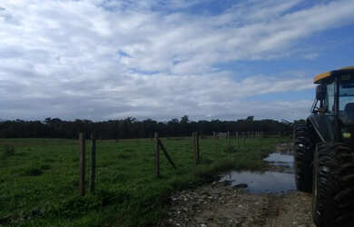 Imagem 8: Boa pra pasto ou plantio