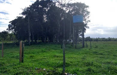 Imagem 3: Boa pra pasto ou plantio