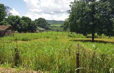 Imagem 3: Vendo Fazenda áceito carro ou dinheiro, não aceito troca em outro imóvel