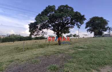 Imagem 7: Terreno à venda, 480 m² por R$ 240.000,00 - Jardim Tropical - Botucatu/SP