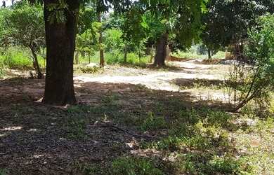 Imagem 8: Vendo Fazenda áceito carro ou dinheiro, não aceito troca em outro imóvel