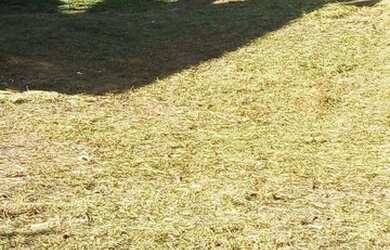 Imagem 13: Terreno à venda, 539 m² por R$ 289.000 - Residencial Santa Helena -...