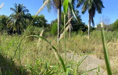 Imagem 11: Área à venda, 17550 m² por R$ 2.400,00 - Jardim Limoeiro - Serra/ES