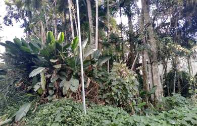 Imagem 1: Terreno em área nobre. 900m² de Área