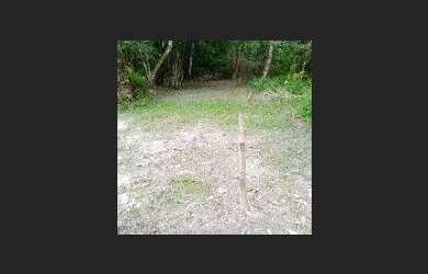 Imagem: O terreno possui 5m² de Área e está localizado em Jurunas