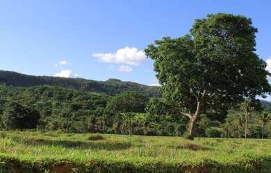 Imagem 16: Fazenda Rica em agua 80 Mil por Alqueire 241
