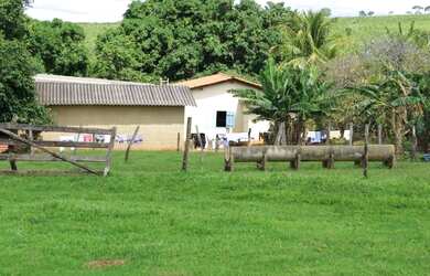 Imagem 8: Fazenda Rica em agua 80 Mil por Alqueire 241