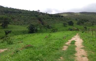 Imagem 9: Vendo Fazenda 53 Alqueires / 253 hectares