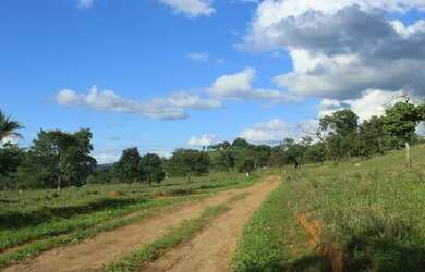 Imagem 3: Fazenda Rica em agua 80 Mil por Alqueire 241