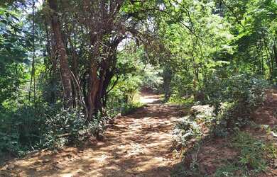 Imagem: A fazenda possui 48000m² de Área e está localizado em Área