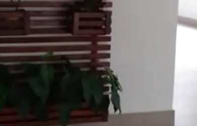 Imagem 14: apartamento de 3 quartos, com 71m² na Freguesia