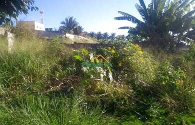 Imagem 4: Terreno à venda em Setiba 2 - Guarapari/ES