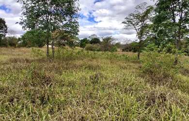 Imagem 11: TERRENO RURAL 5.264 m² - / ANTÔNIO OLINTO - MONTES CLAROS MG