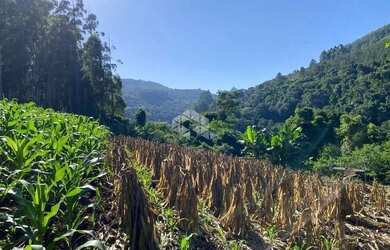 Imagem 2: Chácara com vista e riacho na Serra Gaúcha