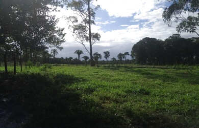 Imagem 11: Boa pra pasto ou plantio