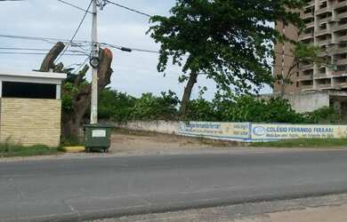 Imagem 5: CM MARAVILHOSO TERRENO C/2.670,93M2 C/2 FRENTES EM MARIA FARINHA