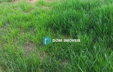 Imagem 7: Terreno à venda, 323 m² por R$ 419.000,00 - Estrela Alta - Juiz de Fora/MG