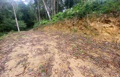 Imagem 2: Lindo terrreno com terra planagen apenas 47 mil reais