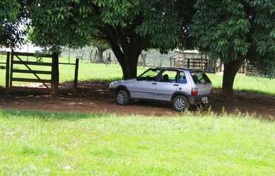 Imagem 5: Fazenda Rica em agua 80 Mil por Alqueire 241