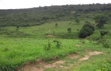 Imagem 8: Vendo Fazenda 53 Alqueires / 253 hectares