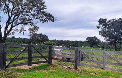 Imagem 7: Fazenda 38 Alqueires Vale do Araguaia