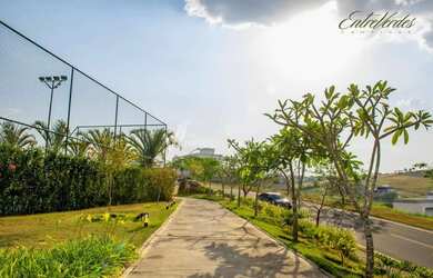 Imagem 11: Terreno - Loteamento Residencial Entre Verdes (Sousas) - Campinas