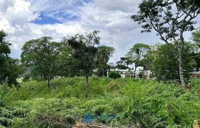 Imagem 14: Chácara com 2 ha de terra no São Victor Cohab