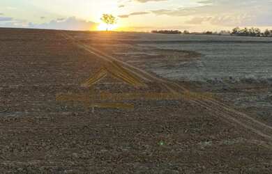 Imagem 11: Sítio com 17 alqueires terra vermelha em Quadra/SP