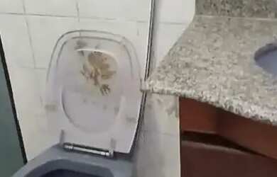 Imagem 16: Apartamento de dois dormitórios e dois banheiros com elevador e vaga...