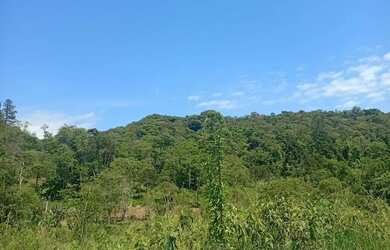 Imagem 8: Super imóvel abaixo do valor com piscina 287 mil reais