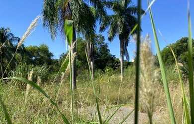 Imagem 14: Área à venda, 17550 m² por R$ 2.400,00 - Jardim Limoeiro - Serra/ES