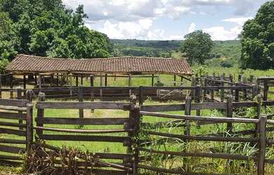 Imagem 4: Vendo Fazenda áceito carro ou dinheiro, não aceito troca em outro imóvel